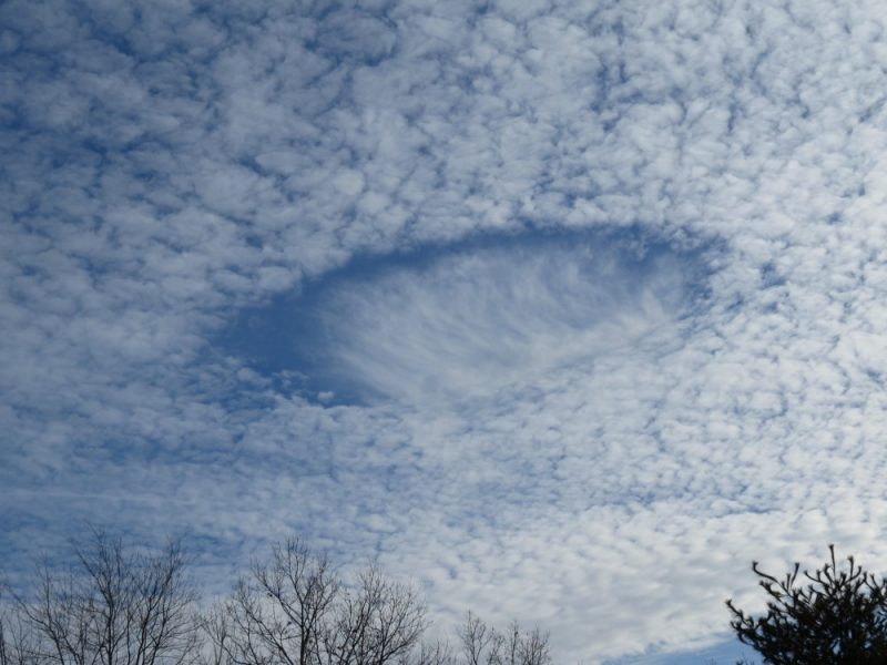 The (Empty) November