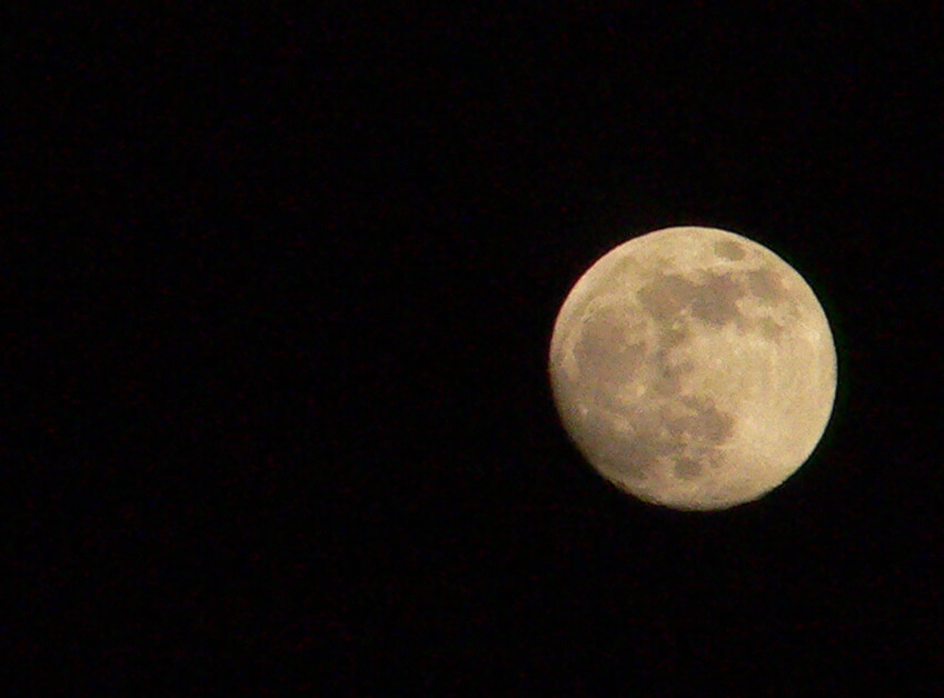 DARK MOON (Birth Of A Phantom)