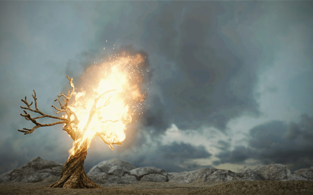 MANIA OF MY OWN DESIGN