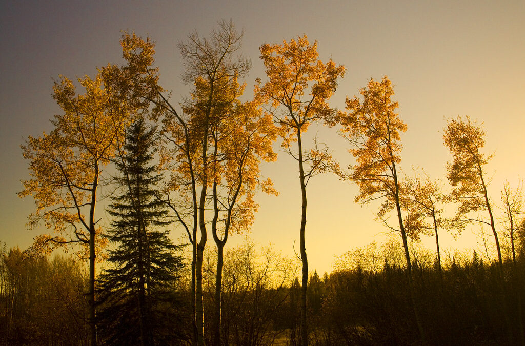 (10 Years) Of Departures | The Fall Around The Bend