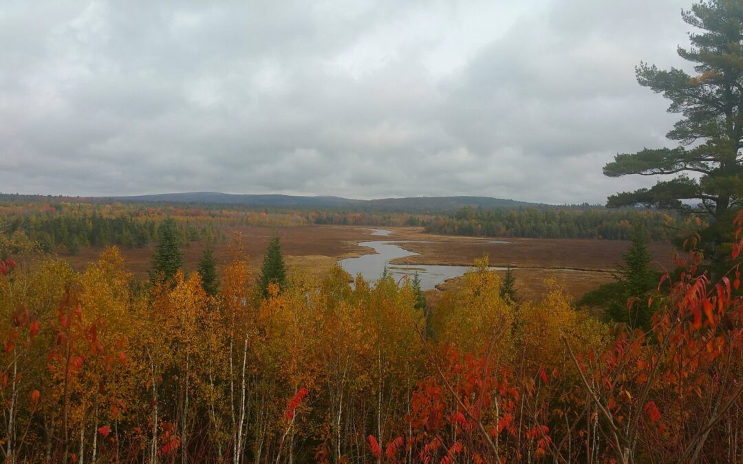 All We’ve Known Has Fallen