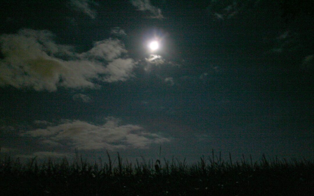 A Tale of Respiration